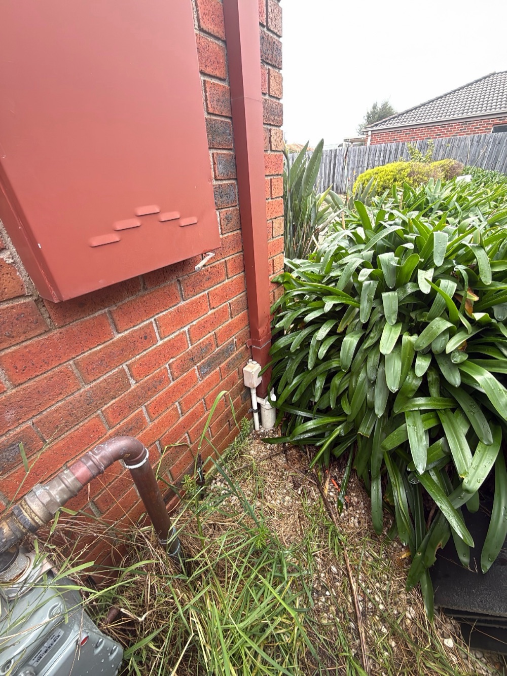 Building and Pest Inspections in Clyde
