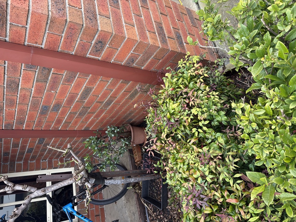 Pre-Purchase Building Inspections in Clyde