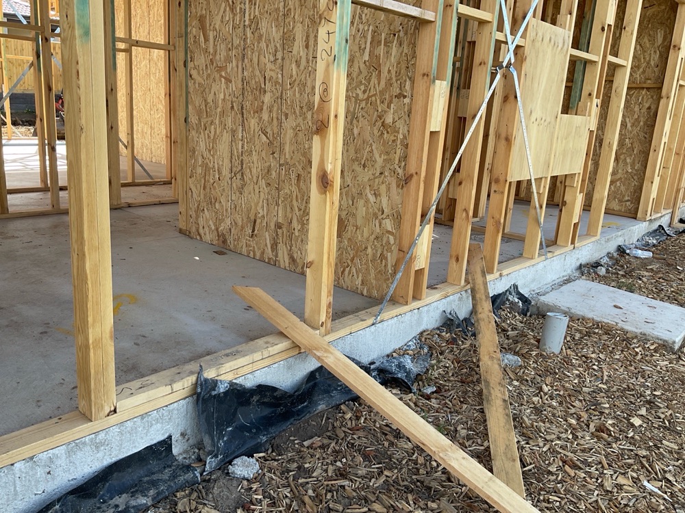 Termite physical barrier not installed under the external walls at frame stage, found during a frame inspection in Clyde